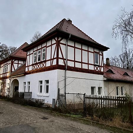 Delux Ferienwohnung Kunstgalerie Und Ilmradweg Kranichfeld Eksteriør billede