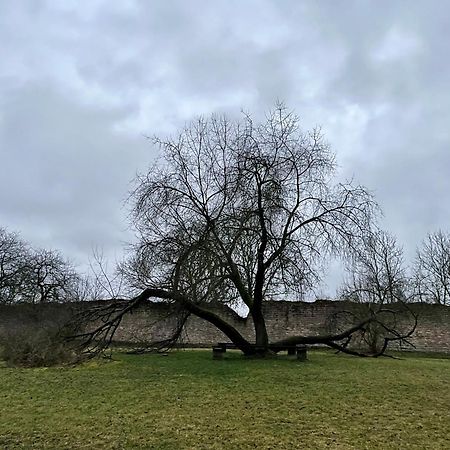 Delux Ferienwohnung Kunstgalerie Und Ilmradweg Kranichfeld Eksteriør billede
