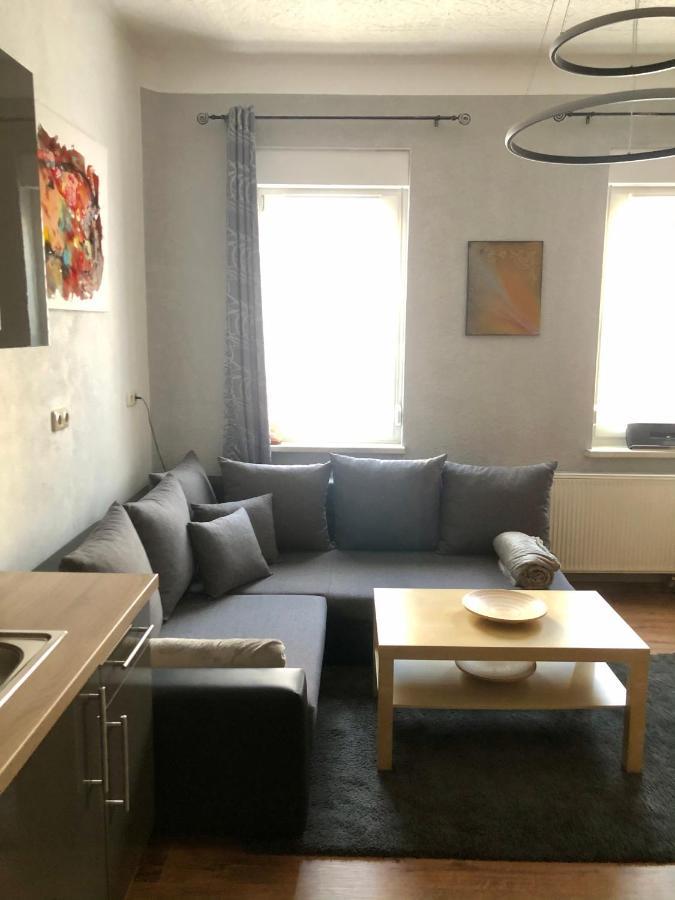 Delux Ferienwohnung Kunstgalerie Und Ilmradweg Kranichfeld Eksteriør billede
