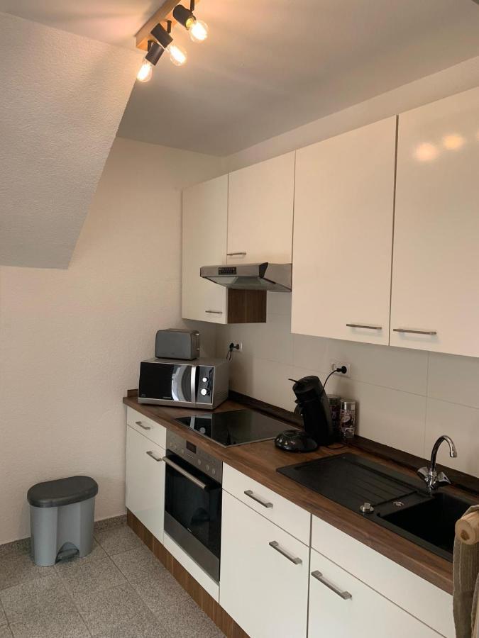 Delux Ferienwohnung Kunstgalerie Und Ilmradweg Kranichfeld Eksteriør billede