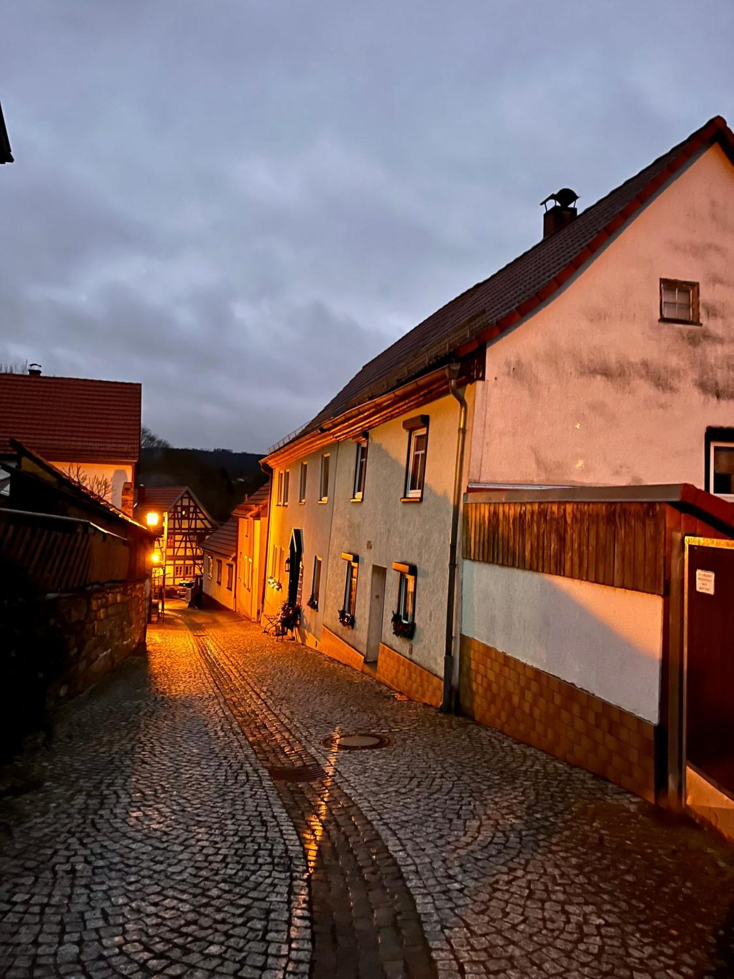 Delux Ferienwohnung Kunstgalerie Und Ilmradweg Kranichfeld Eksteriør billede